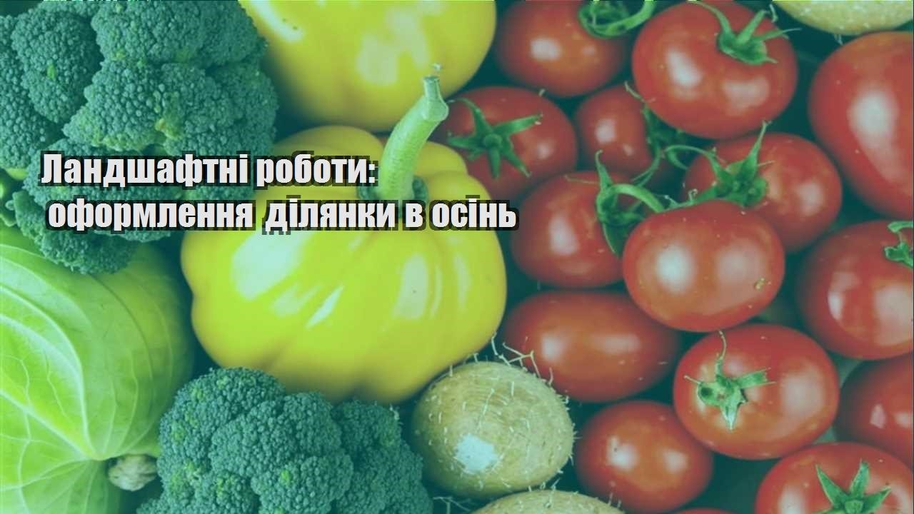 Детальніше про статтю Ландшафтні роботи: оформлення ділянки в осінь