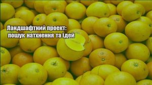 Детальніше про статтю Ландшафтний проект: пошук натхнення та ідей