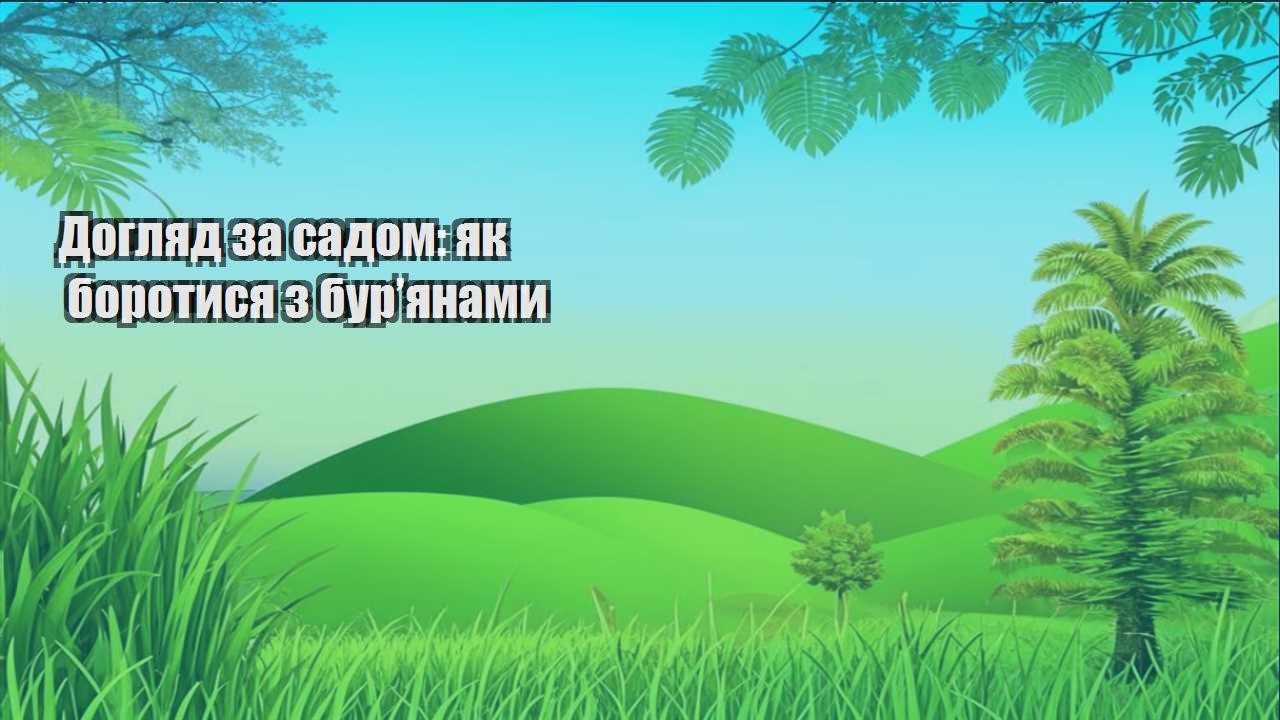 Детальніше про статтю Догляд за садом: як боротися з бур’янами