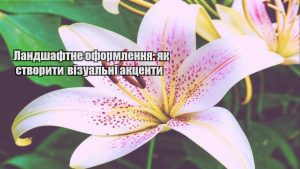 Детальніше про статтю Ландшафтне оформлення: як створити візуальні акценти