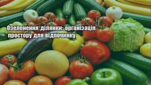 Детальніше про статтю Озеленення ділянки: організація простору для відпочинку