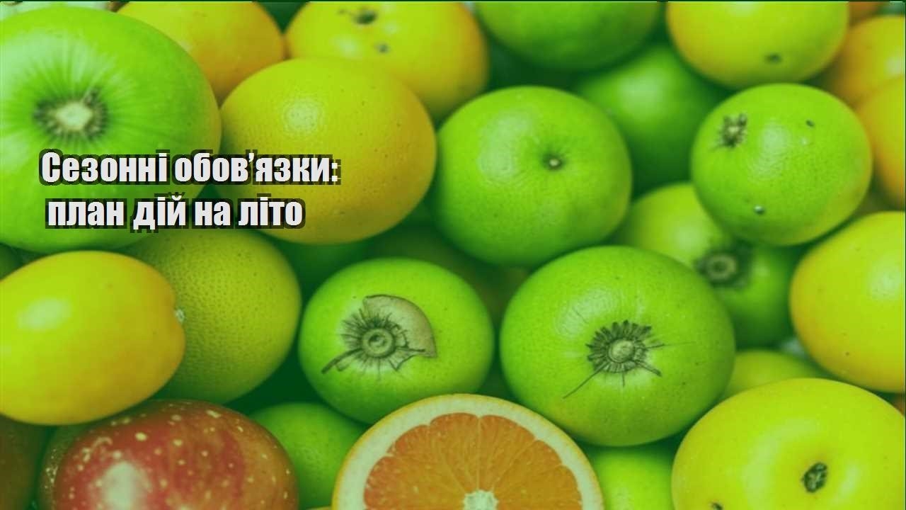 Детальніше про статтю Сезонні обов’язки: план дій на літо