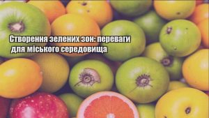 Детальніше про статтю Створення зелених зон: переваги для міського середовища