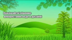 Детальніше про статтю Ландшафтні рішення: використання води в дизайні