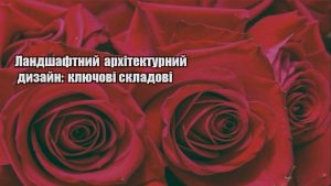 Детальніше про статтю Ландшафтний архітектурний дизайн: ключові складові