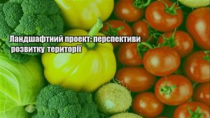 Детальніше про статтю Ландшафтний проект: перспективи розвитку території