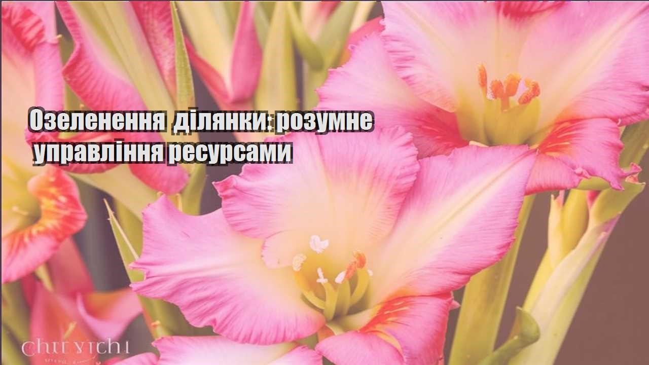 Детальніше про статтю Озеленення ділянки: розумне управління ресурсами