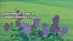 Детальніше про статтю Підготовка до сезону: як уникнути помилок у саду