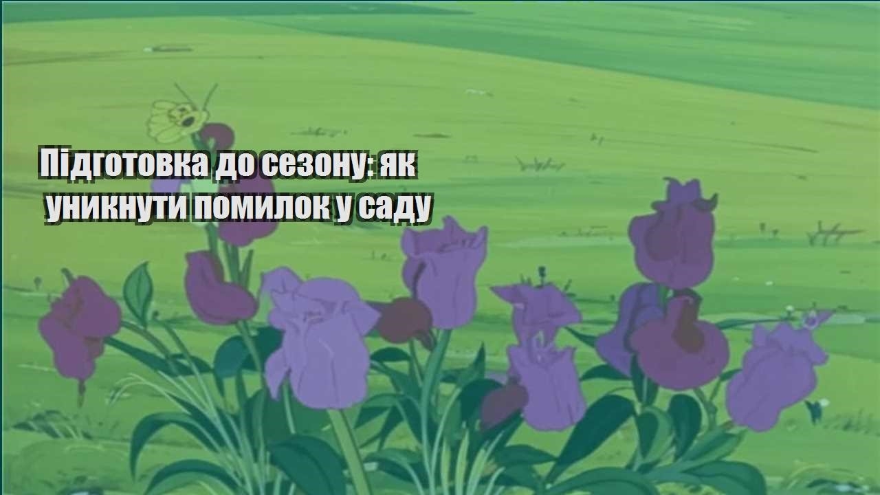 Детальніше про статтю Підготовка до сезону: як уникнути помилок у саду