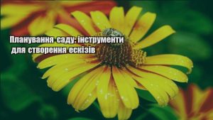 Детальніше про статтю Планування саду: інструменти для створення ескізів