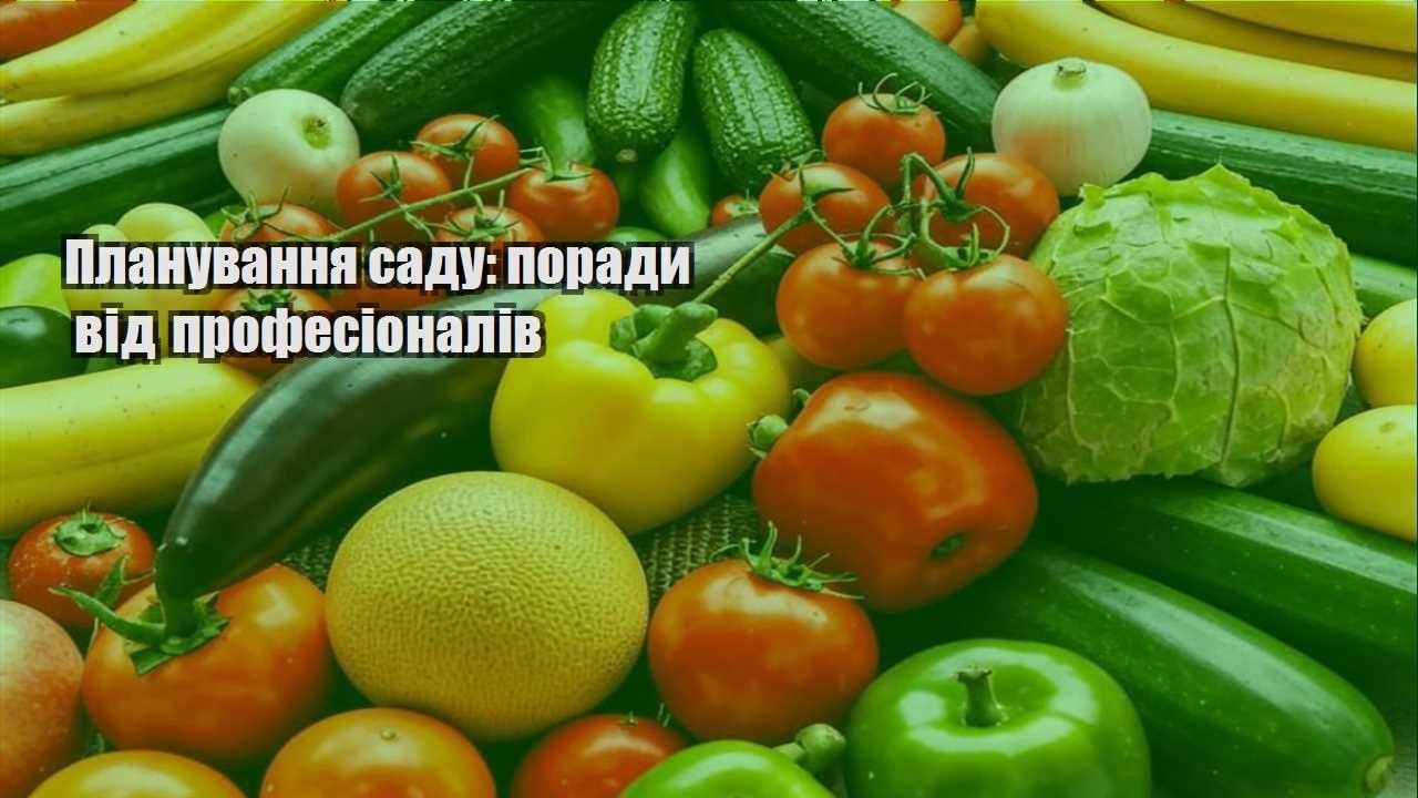 Детальніше про статтю Планування саду: поради від професіоналів