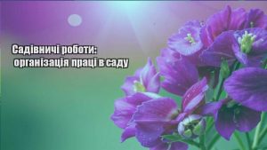 Детальніше про статтю Садівничі роботи: організація праці в саду