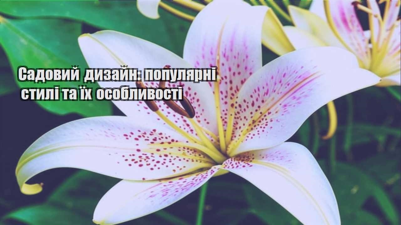 Детальніше про статтю Садовий дизайн: популярні стилі та їх особливості