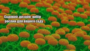 Детальніше про статтю Садовий дизайн: вибір рослин для вашого саду