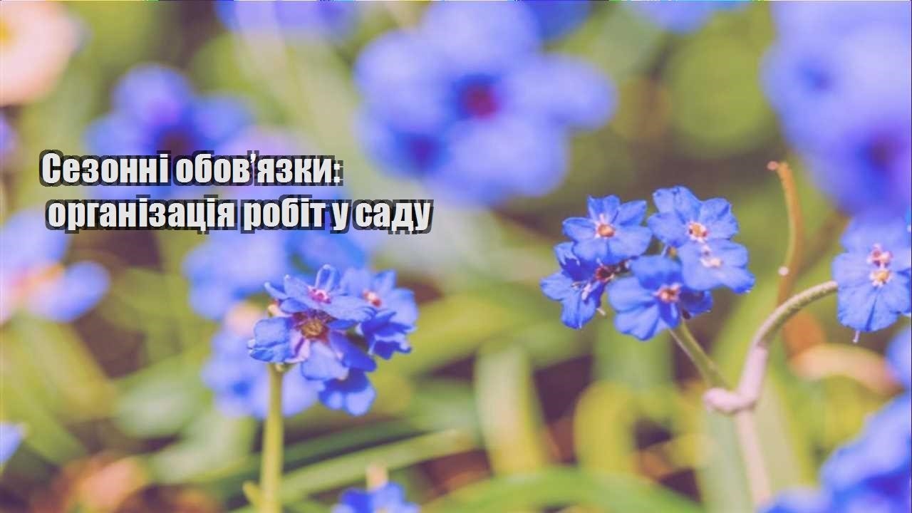 Детальніше про статтю Сезонні обов’язки: організація робіт у саду