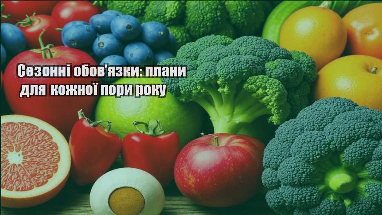 Детальніше про статтю Сезонні обов’язки: плани для кожної пори року