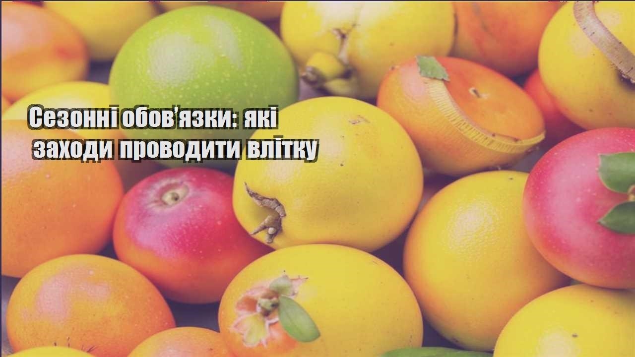 Ви зараз переглядаєте Сезонні обов’язки: які заходи проводити влітку