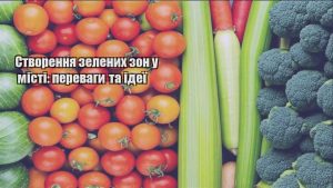 Детальніше про статтю Створення зелених зон у місті: переваги та ідеї