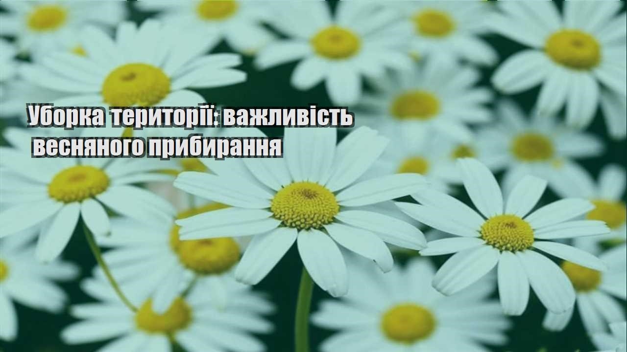 Детальніше про статтю Уборка території: важливість весняного прибирання