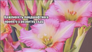 Детальніше про статтю Важливість ландшафтного проекту у розвитку саду