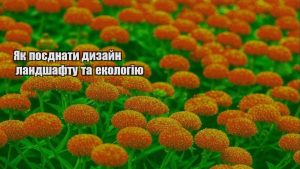 Детальніше про статтю Як поєднати дизайн ландшафту та екологію