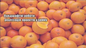 Детальніше про статтю Ландшафтні роботи: реалізація проектів у зимку