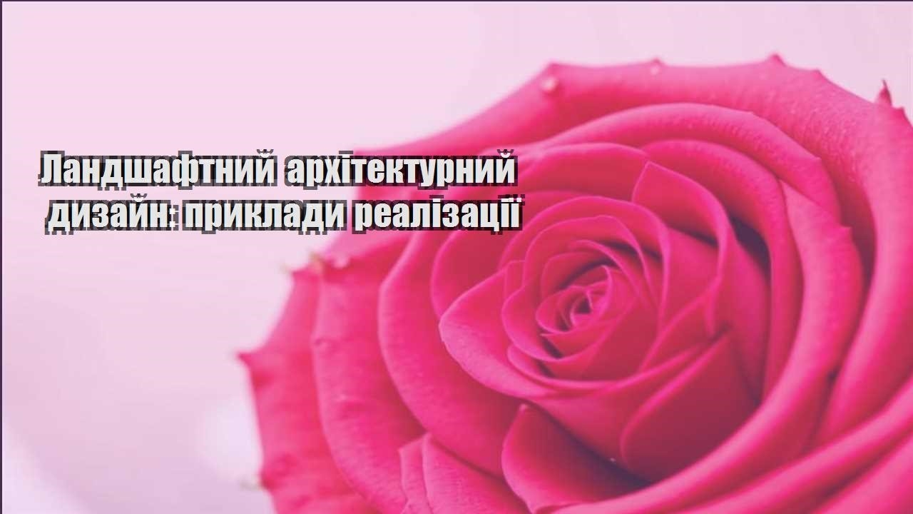 Ви зараз переглядаєте Ландшафтний архітектурний дизайн: приклади реалізації