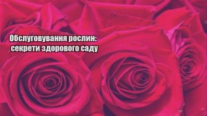 Детальніше про статтю Обслуговування рослин: секрети здорового саду