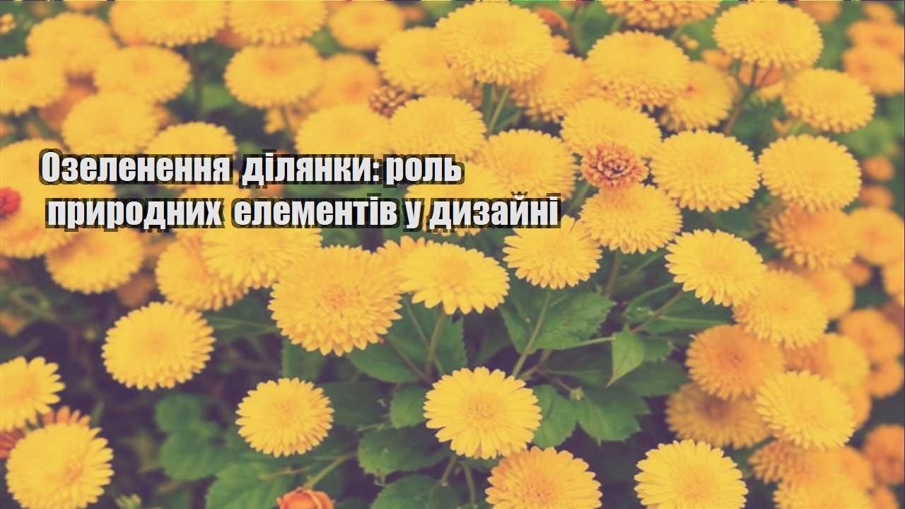 Ви зараз переглядаєте Озеленення ділянки: роль природних елементів у дизайні