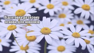 Детальніше про статтю Підготовка до сезону: основи для новачків