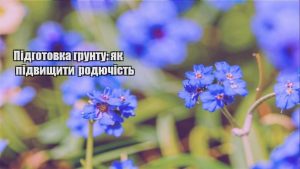 Детальніше про статтю Підготовка грунту: як підвищити родючість