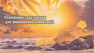 Детальніше про статтю Планування саду: поради для формування композицій