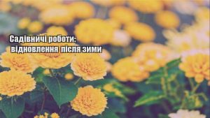 Детальніше про статтю Садівничі роботи: відновлення після зими