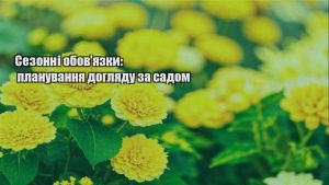 Детальніше про статтю Сезонні обов’язки: планування догляду за садом