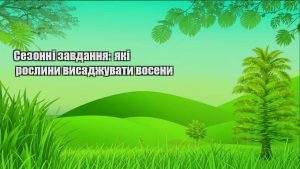 Детальніше про статтю Сезонні завдання: які рослини висаджувати восени