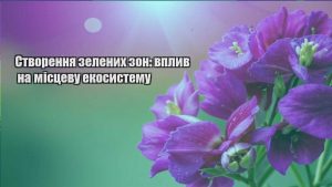 Детальніше про статтю Створення зелених зон: вплив на місцеву екосистему