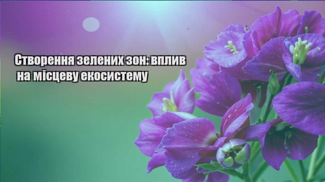 Ви зараз переглядаєте Створення зелених зон: вплив на місцеву екосистему