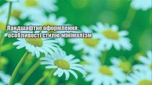 Детальніше про статтю Ландшафтне оформлення: особливості стилю мінімалізм