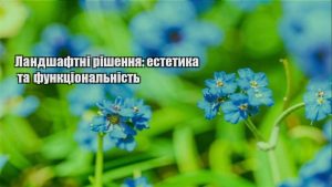 Детальніше про статтю Ландшафтні рішення: естетика та функціональність