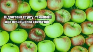 Детальніше про статтю Підготовка грунту: технології для покращення структури