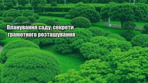 Детальніше про статтю Планування саду: секрети грамотного розташування