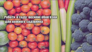 Детальніше про статтю Роботи в саду: весняні обов’язки для кожного садівника