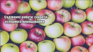 Детальніше про статтю Садівничі роботи: секрети успішного вирощування