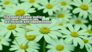 Детальніше про статтю Садовий дизайн: вибір матеріалів для оформлення