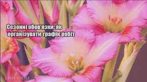 Детальніше про статтю Сезонні обов’язки: як організувати графік робіт