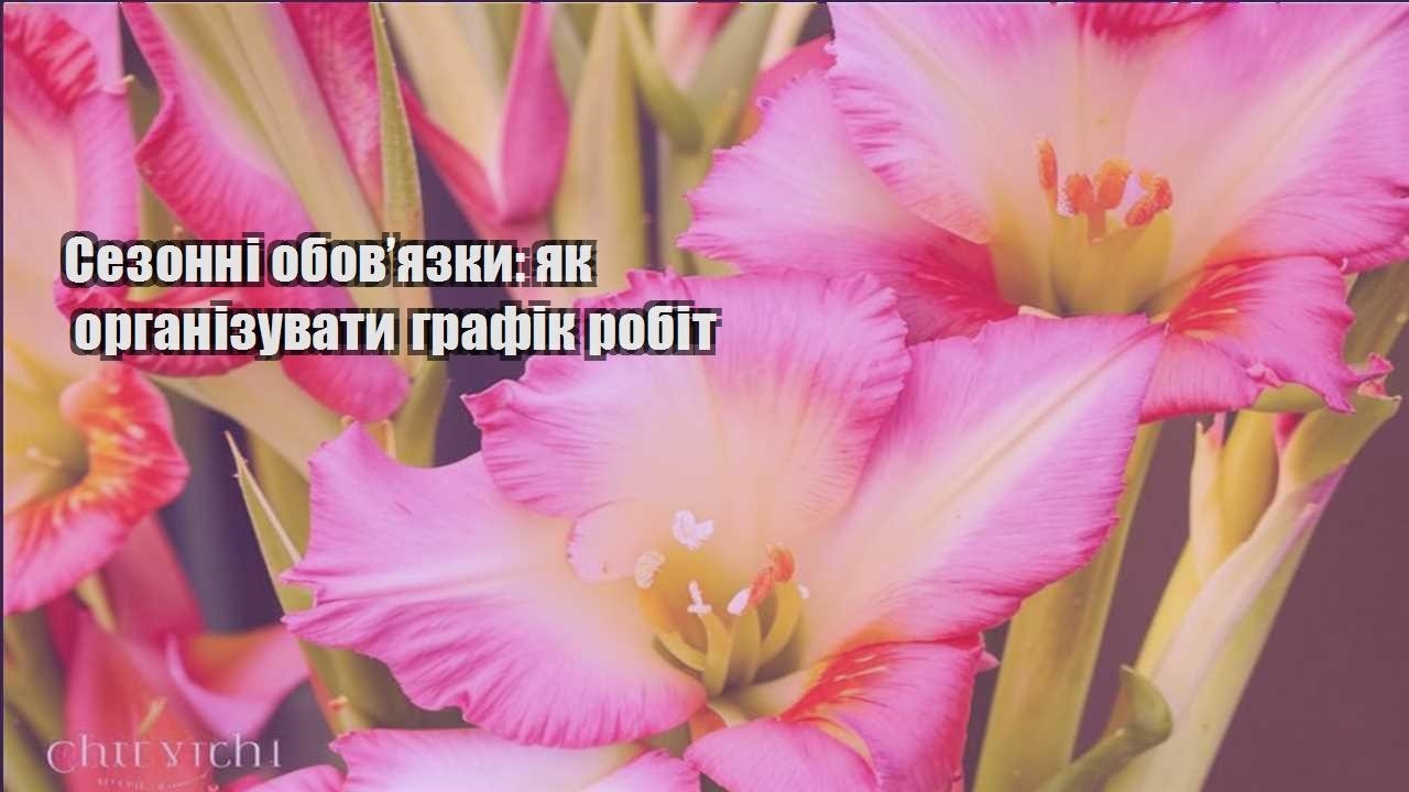 Ви зараз переглядаєте Сезонні обов’язки: як організувати графік робіт