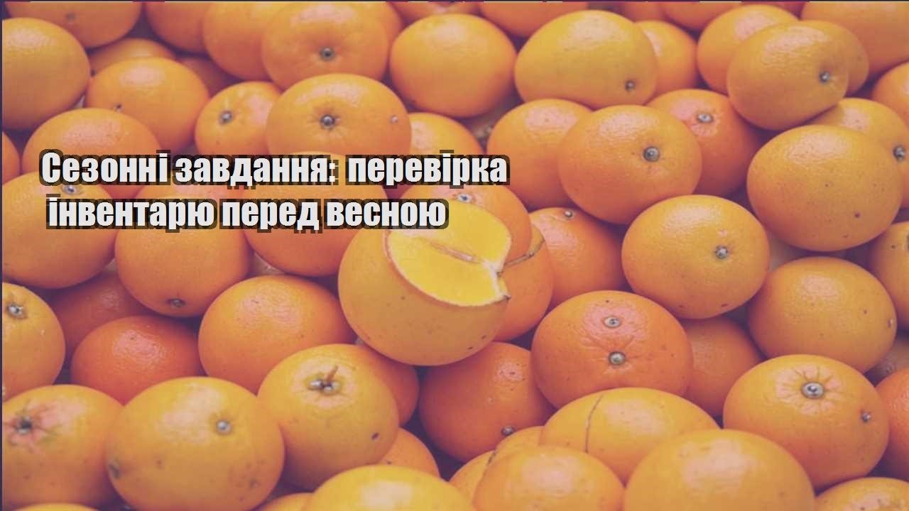 Ви зараз переглядаєте Сезонні завдання: перевірка інвентарю перед весною