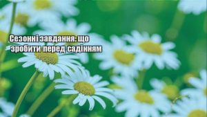 Детальніше про статтю Сезонні завдання: що зробити перед садінням