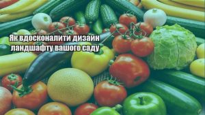 Детальніше про статтю Як вдосконалити дизайн ландшафту вашого саду