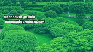 Детальніше про статтю Як зробити дизайн ландшафту унікальним